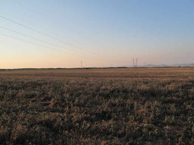 Lushnje