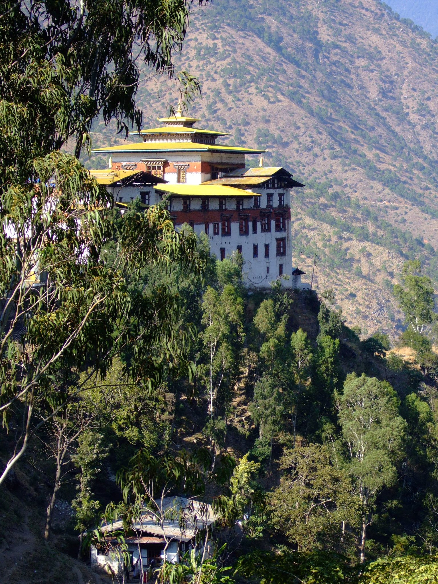 Tashigang