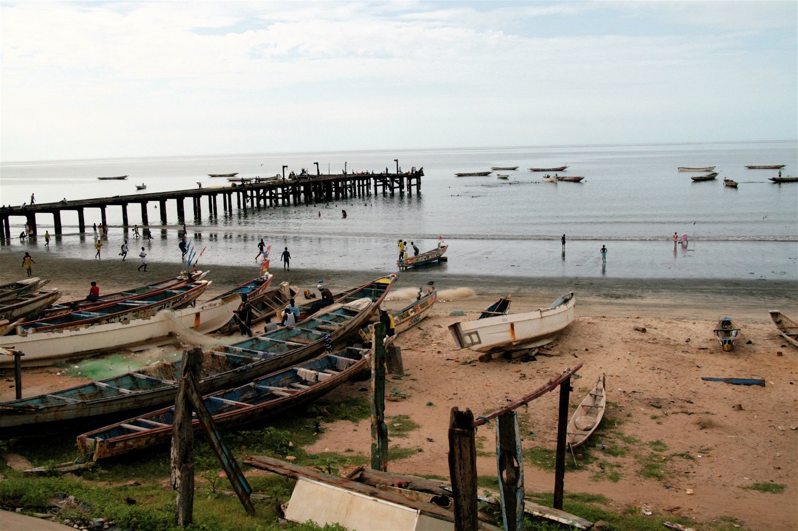 Bakau