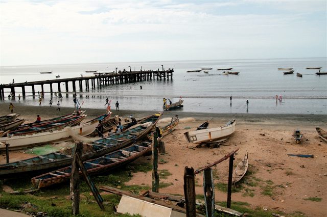 Bakau