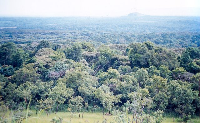 Kakamega