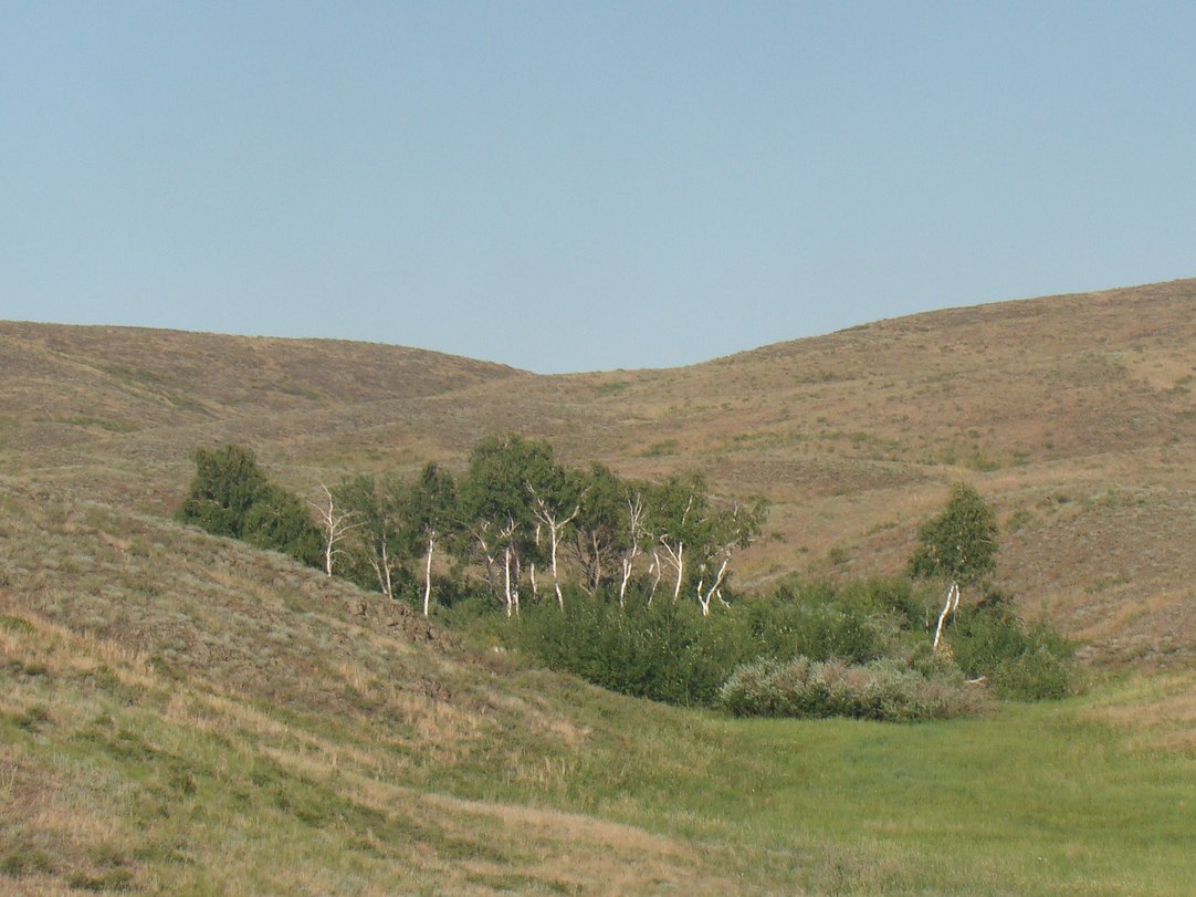 Aktobe