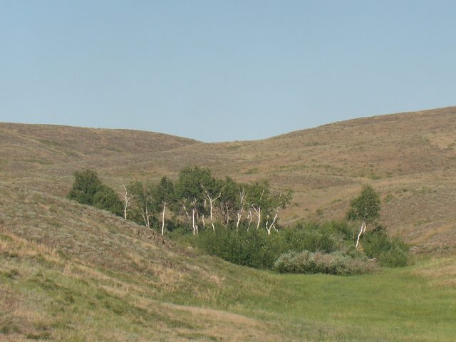 Aktobe