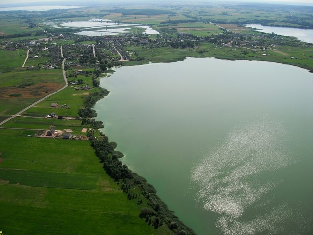 Alytus
