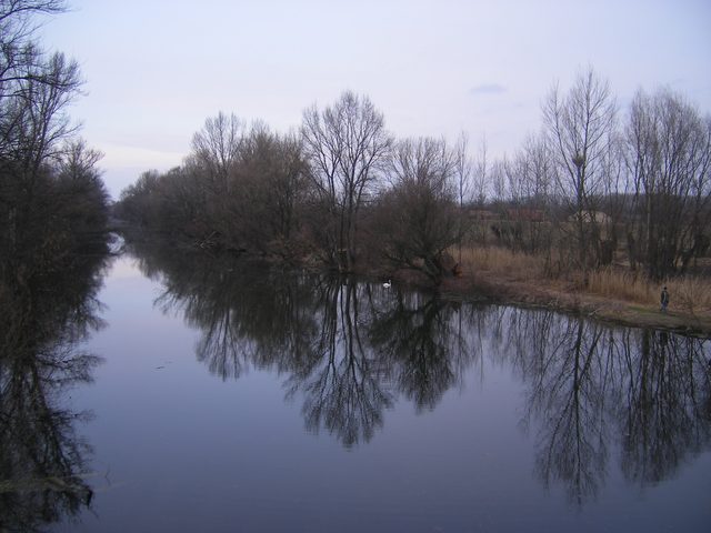 Nitra