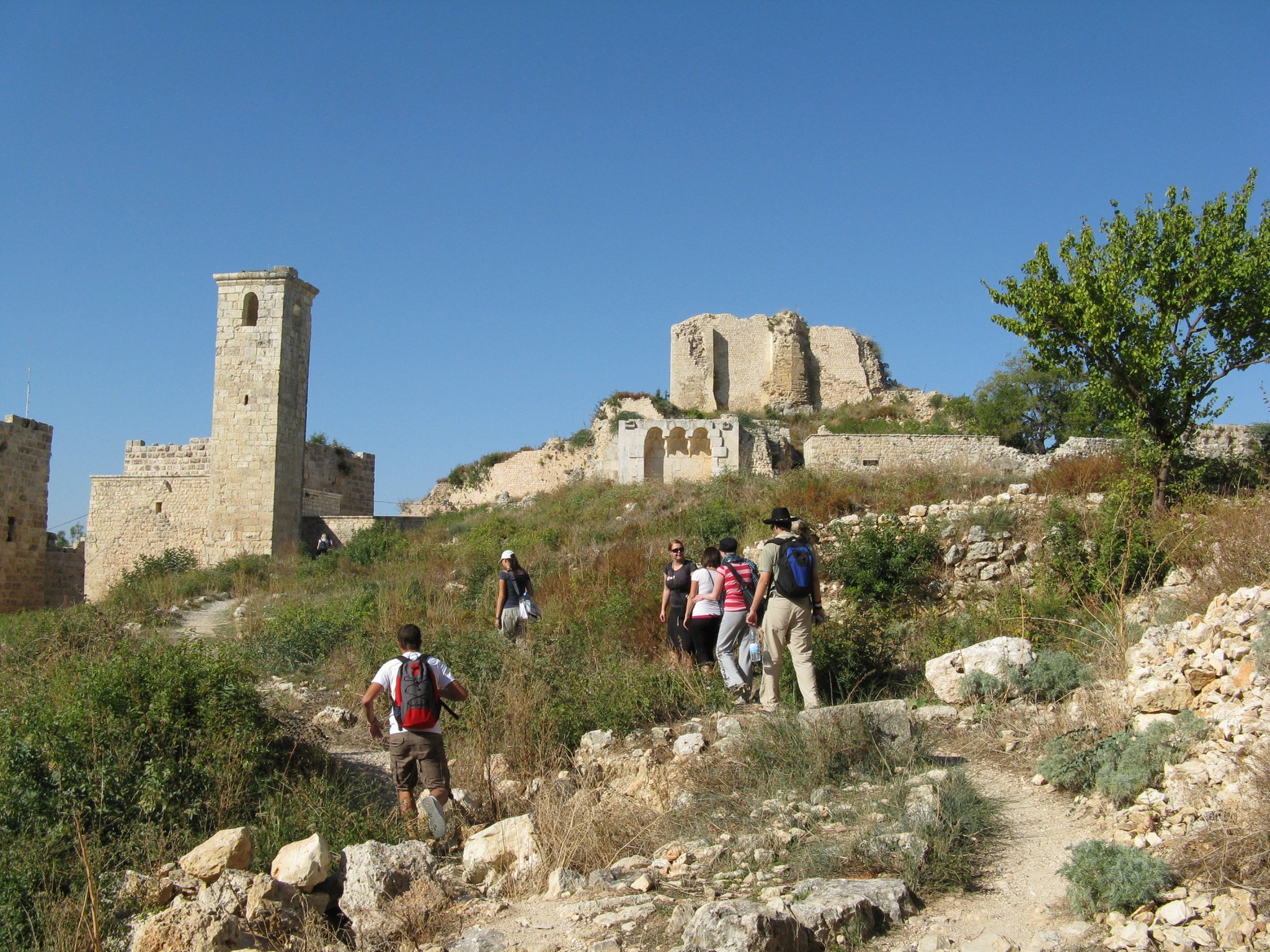 Latakia