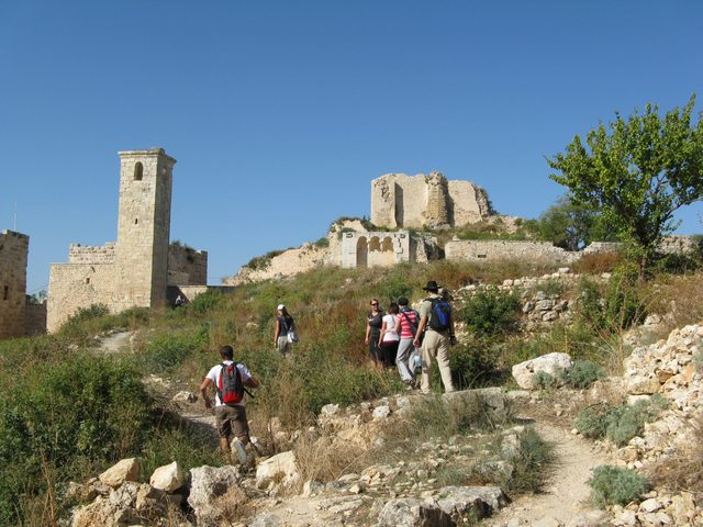 Latakia