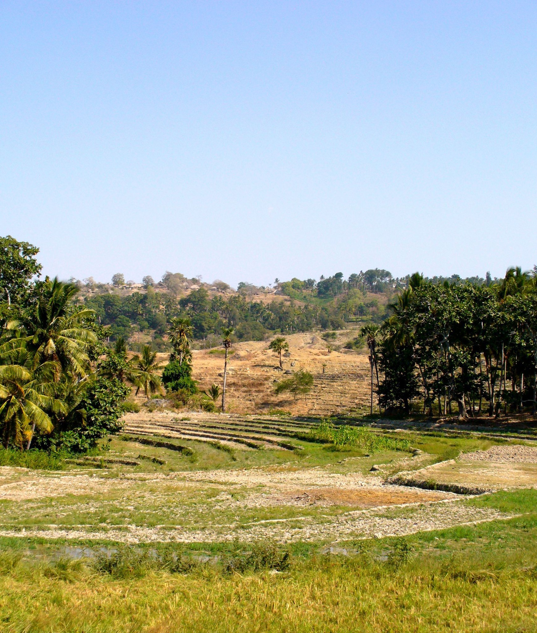 Baucau
