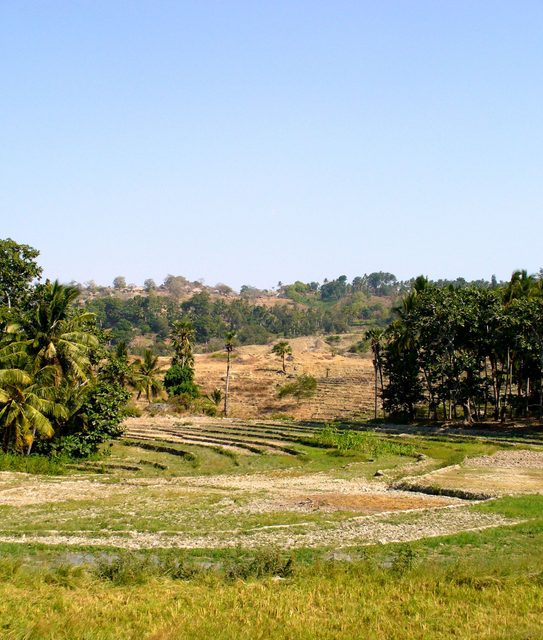 Baucau
