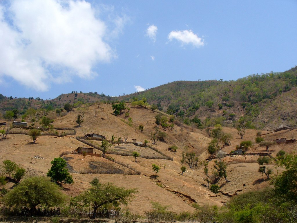 Dili