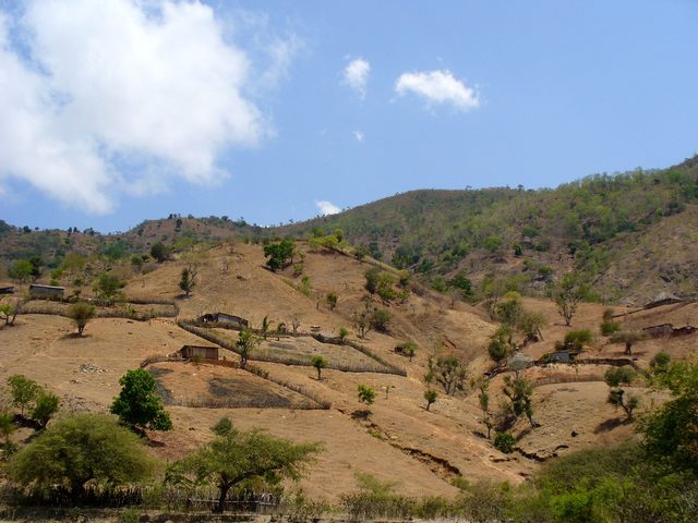 Dili